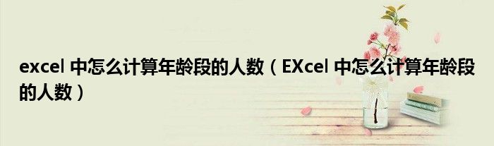 excel 中怎么计算年龄段的人数（EXcel 中怎么计算年龄段的人数）