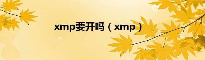 xmp要开吗（xmp）