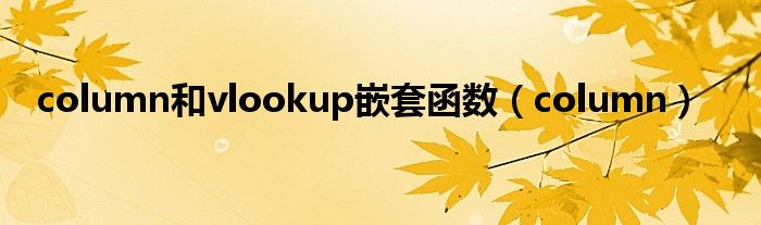 column和vlookup嵌套函数（column）