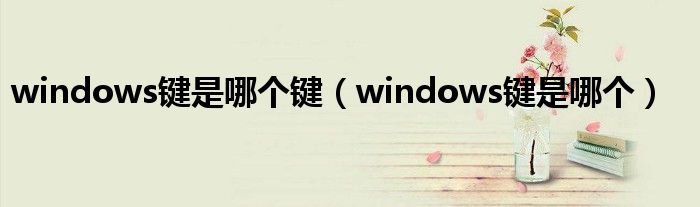 windows键是哪个键（windows键是哪个）