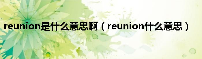 reunion是什么意思啊（reunion什么意思）