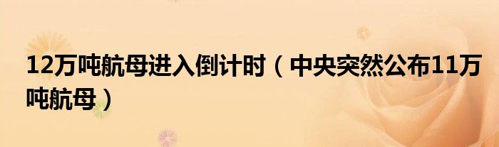 12万吨航母进入倒计时（中央突然公布11万吨航母）