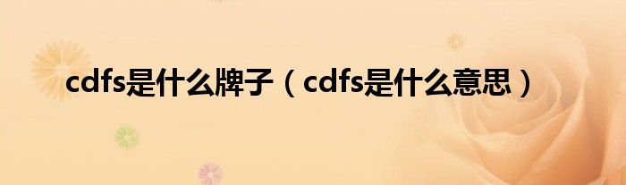 cdfs是什么牌子（cdfs是什么意思）