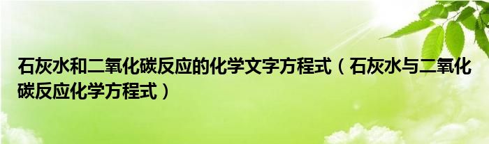 石灰水和二氧化碳反应的化学文字方程式（石灰水与二氧化碳反应化学方程式）