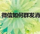 微信如何群发消息拜年（微信如何群发消息）