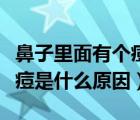 鼻子里面有个痘痘是怎么回事（鼻子里面长痘痘是什么原因）