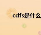 cdfs是什么牌子（cdfs是什么意思）