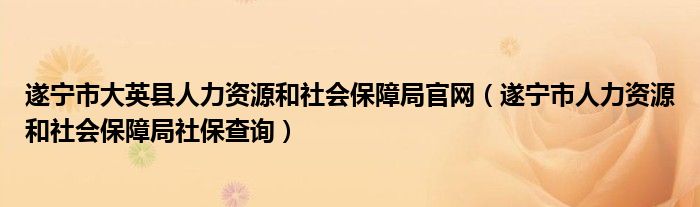 遂宁市大英县人力资源和社会保障局官网（遂宁市人力资源和社会保障局社保查询）