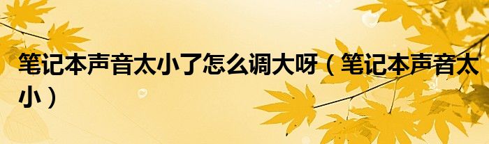 笔记本声音太小了怎么调大呀（笔记本声音太小）