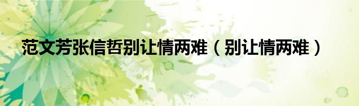 范文芳张信哲别让情两难（别让情两难）