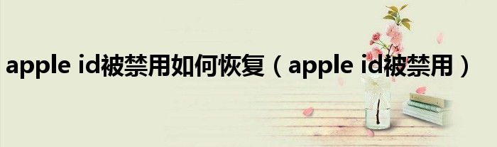 apple id被禁用如何恢复（apple id被禁用）