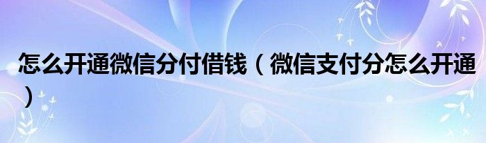 怎么开通微信分付借钱（微信支付分怎么开通）