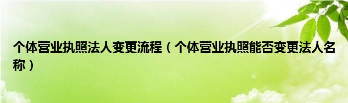 个体营业执照法人变更流程（个体营业执照能否变更法人名称）