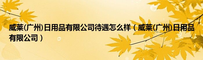 威莱(广州)日用品有限公司待遇怎么样（威莱(广州)日用品有限公司）