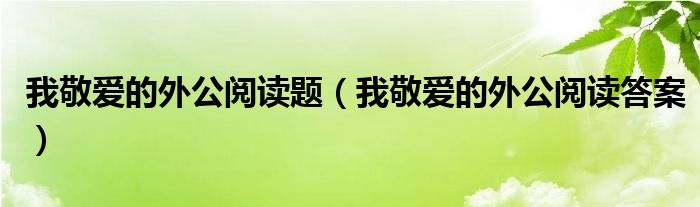 我敬爱的外公阅读题（我敬爱的外公阅读答案）