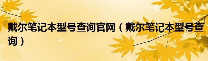 戴尔笔记本型号查询官网（戴尔笔记本型号查询）