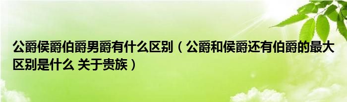 公爵侯爵伯爵男爵有什么区别（公爵和侯爵还有伯爵的最大区别是什么 关于贵族）