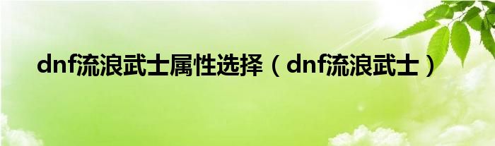 dnf流浪武士属性选择（dnf流浪武士）