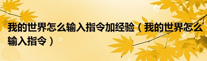 我的世界怎么输入指令加经验（我的世界怎么输入指令）