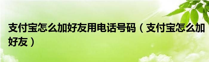 支付宝怎么加好友用电话号码（支付宝怎么加好友）