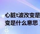 心脏t波改变是什么意思中文翻译（心脏t波改变是什么意思）