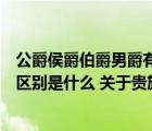 公爵侯爵伯爵男爵有什么区别（公爵和侯爵还有伯爵的最大区别是什么 关于贵族）