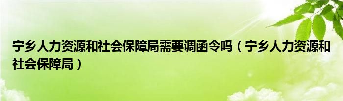 宁乡人力资源和社会保障局需要调函令吗（宁乡人力资源和社会保障局）