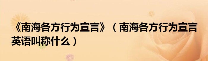 《南海各方行为宣言》（南海各方行为宣言 英语叫称什么）