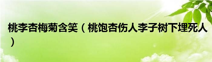 桃李杏梅菊含笑（桃饱杏伤人李子树下埋死人）