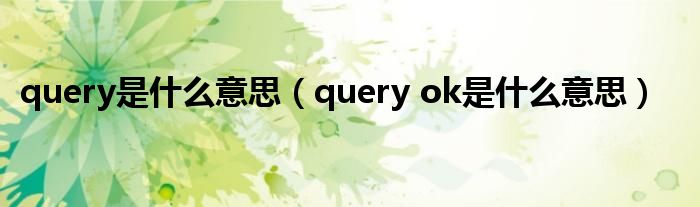 query是什么意思（query ok是什么意思）