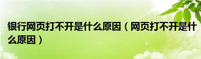 银行网页打不开是什么原因（网页打不开是什么原因）