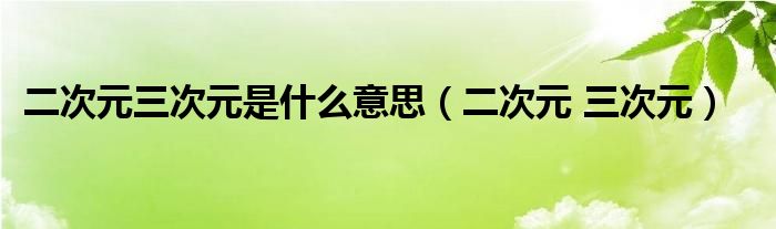 二次元三次元是什么意思（二次元 三次元）