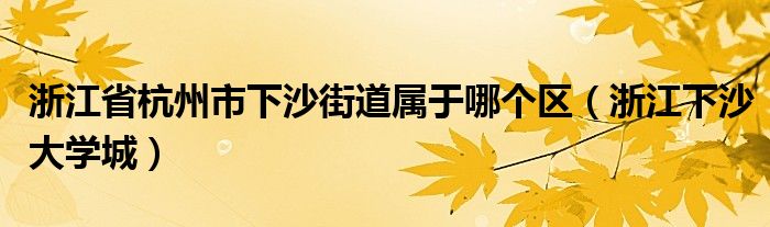 浙江省杭州市下沙街道属于哪个区（浙江下沙大学城）