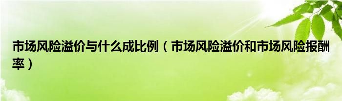 市场风险溢价与什么成比例（市场风险溢价和市场风险报酬率）