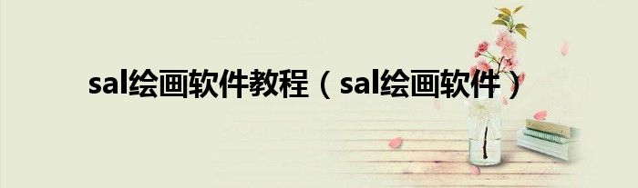 sal绘画软件教程（sal绘画软件）