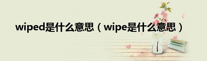 wiped是什么意思（wipe是什么意思）