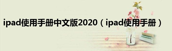 ipad使用手册中文版2020（ipad使用手册）