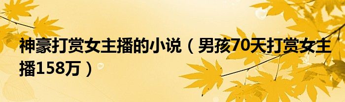 神豪打赏女主播的小说（男孩70天打赏女主播158万）