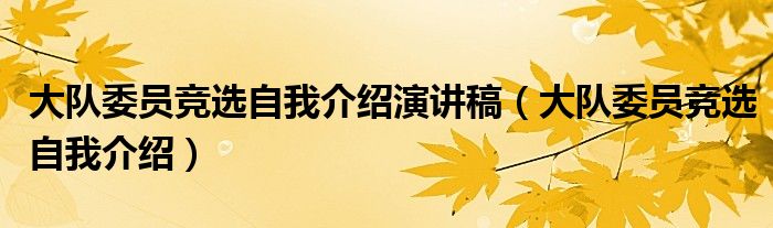 大队委员竞选自我介绍演讲稿（大队委员竞选自我介绍）