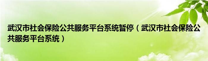 武汉市社会保险公共服务平台系统暂停（武汉市社会保险公共服务平台系统）