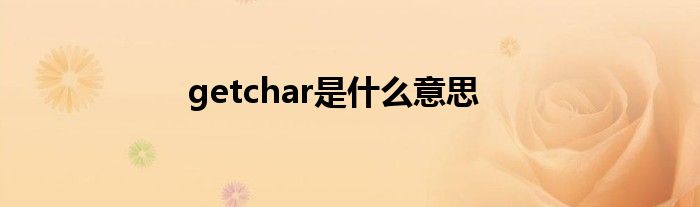 getchar是什么意思