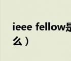 ieee fellow是什么水平（IEEE Fellow是什么）