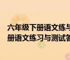 六年级下册语文练与测试答案苏教版答案（苏教版六年级下册语文练习与测试答案）