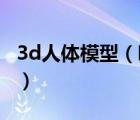 3d人体模型（哪里能下载3d人体模型 女性的）