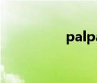 palpay登录（palpay）