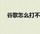 谷歌怎么打不开网站（谷歌怎么打不开）