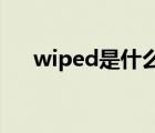 wiped是什么意思（wipe是什么意思）