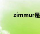 zimmur是什么档次的（zimmur）