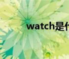 watch是什么词（watch是什么）