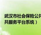 武汉市社会保险公共服务平台系统暂停（武汉市社会保险公共服务平台系统）